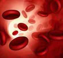Повишен хемоглобин в кръвта - какво означава това? Хемоглобин по възраст
