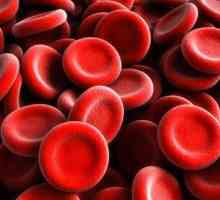 Повишени червени кръвни клетки в кръвта или урината: основните причини