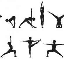 Йога поза: заглавия, описание, упражнения за начинаещи
