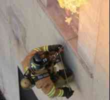 Пожарни карабини: описание, снимка