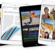 Представяне на iPad mini: спецификации и функции на притурката