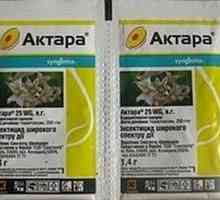 Наркотикът "Aktar". Инструкции за употреба