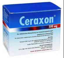 Лекарството "Ceraxon" (разтвор за орално приложение). Указания за употреба за деца и…