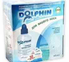 Лекарството за измиване на носа "Делфин". Как да изплакнете носа "Делфин"