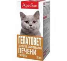 Лекарството "Hepatovet" за котки: инструкции и дозировки