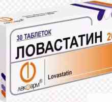 Лекарството "Lovastatin": инструкции за употреба, аналози, описание, композиция и прегледи