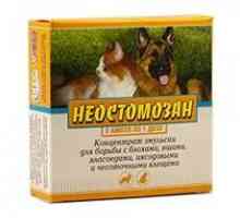 Лекарството "Neostomozan": инструкции за употреба, дозировки