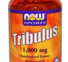 Наркотикът "Tribulus": как да го направите, състава, характеристиките и рецензиите