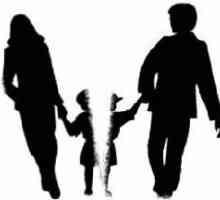 Когато се развеждате, с кого е детето? С кого остават децата, когато се развеждат с родителите си?