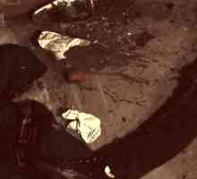 Причината за смъртта на Кърт Кобейн: самоубийство или убийство?
