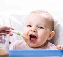 Хранене на деца на изкуствено хранене: основните правила