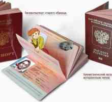 Пример за попълване на заявление за нов паспорт. Правилно попълване на заявление за нов паспорт