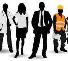 Примери за трудово право: описание, особености и принципи