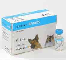 Ваксинация "Nobivak Rabies". инструкция