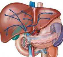 Симптомите на дифузните промени в панкреаса: какви са симптомите и лечението