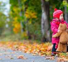 Признаци на есента: урок за децата