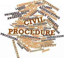 Процесуално наследяване в гражданския процес: основа и разлика от заместване на неподходящия…