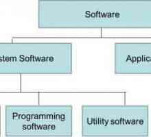 Софтуерни продукти: основни характеристики, приложение