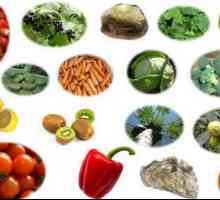 Продукти, съдържащи витамин В в големи количества. Какви храни съдържат витамини от вида B?