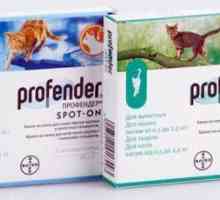 Профендър за котки: инструкции за употреба, състав и ефективност
