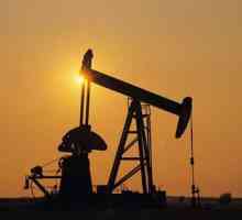 Професия "Пробиване на нефтени и газови кладенци": заплата. Колко струва един пилот в…