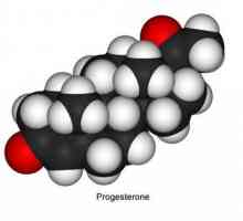 Прогестерон кога да вземете, в кой ден от цикъла? Хормон 17-ON-прогестерон как да приемате?