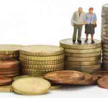 Програмата за съфинансиране на пенсиите. Програмата за държавно съфинансиране на пенсиите