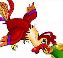 Произходът и смисъла на фразеологията "кокошките не кълват"