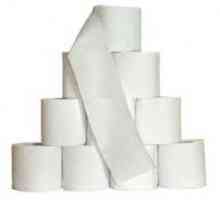 Производството на тоалетна хартия е идея за печелене