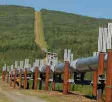 Установяване на газопровода: методи, оборудване, изисквания. Защитната зона на газопровода