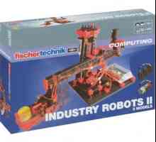 Промишлен робот. Роботите в производството. Автоматични роботи