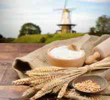 Покълната пшеница: полза и вреда, характеристики на приложението и прегледи