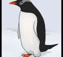 Обикновено съвети как да се направи пингвин в молив на етапи
