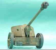 Анти-танкова пушка: историята на появата и развитието