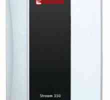 Нагревател на разходомера THERMEX Stream 350: описание, спецификации и прегледи