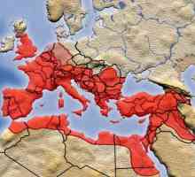 Провинция на Римската империя. Списък на римските провинции