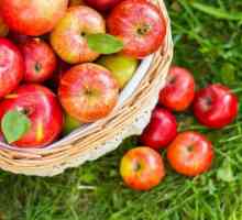 Прозрачно конфитюр от цели ябълки: рецепта, тайни за готвене