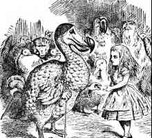 Bird dodo: история на унищожаването