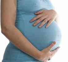 Пулс по време на бременност: нормата. Импулс в бременността какво трябва да бъде?