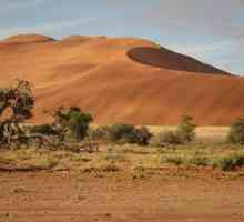 Намибска пустиня - Основната атракция на Намибия