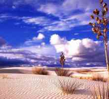 Дезерт Тар: снимка, фауна. Къде е пустинната пустиня?