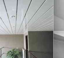 PVC панели за таван. Няколко факта