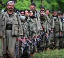Кюрдската работническа партия: История и цели
