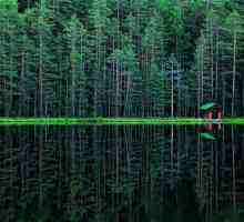 Радонското езеро - чудо на природата