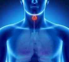 Рак на щитовидната жлеза: колко живеят? Консултация с онколог