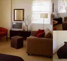 Подреждане на мебели в едностаен апартамент: интересни идеи, правила и съвети на специалисти