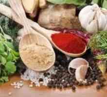 Зеленчукови подправки: полза, вреда, употреба