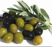 Нека да разгледаме разликата между маслините от маслините