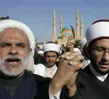 Разликите между сунити и шиити: колко са силни и какви са те?