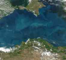 Размер на Черно море: дълбочина, ширина и дължина
